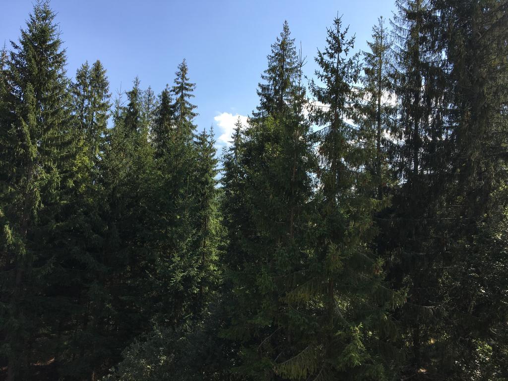 Apartmenty Patris Tatranska Strba Dış mekan fotoğraf